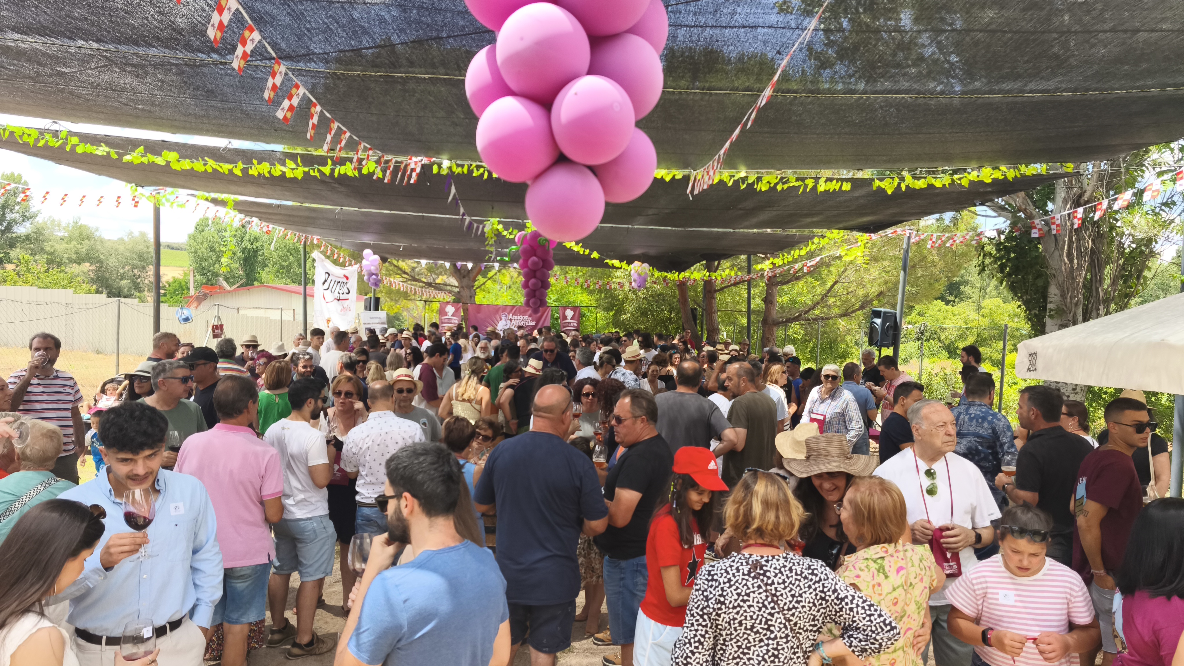 Fuentenebro celebra con éxito una III Feria de la Uva inolvidable