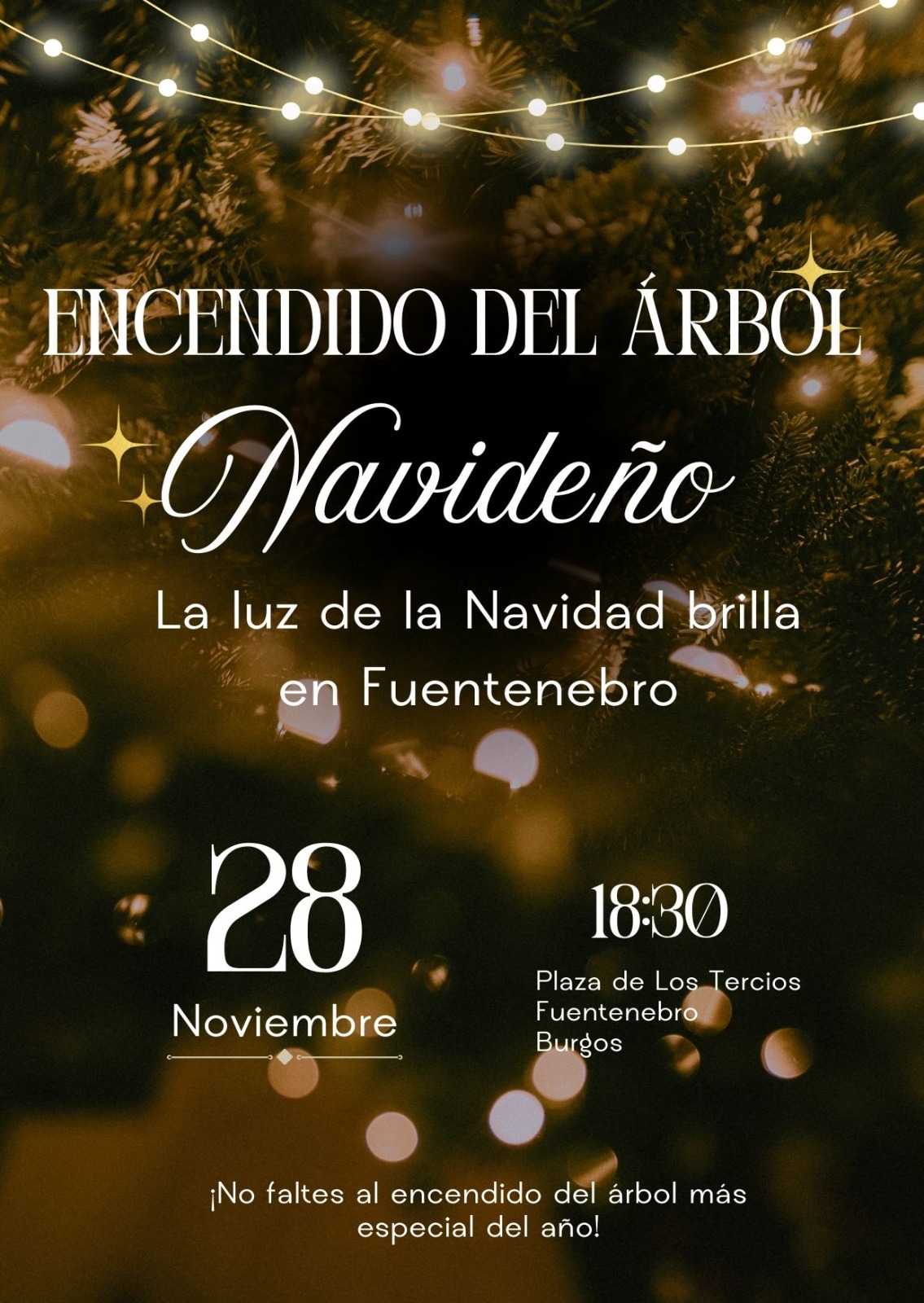 Fuentenebro da la bienvenida a la Navidad con el encendido del árbol navideño
