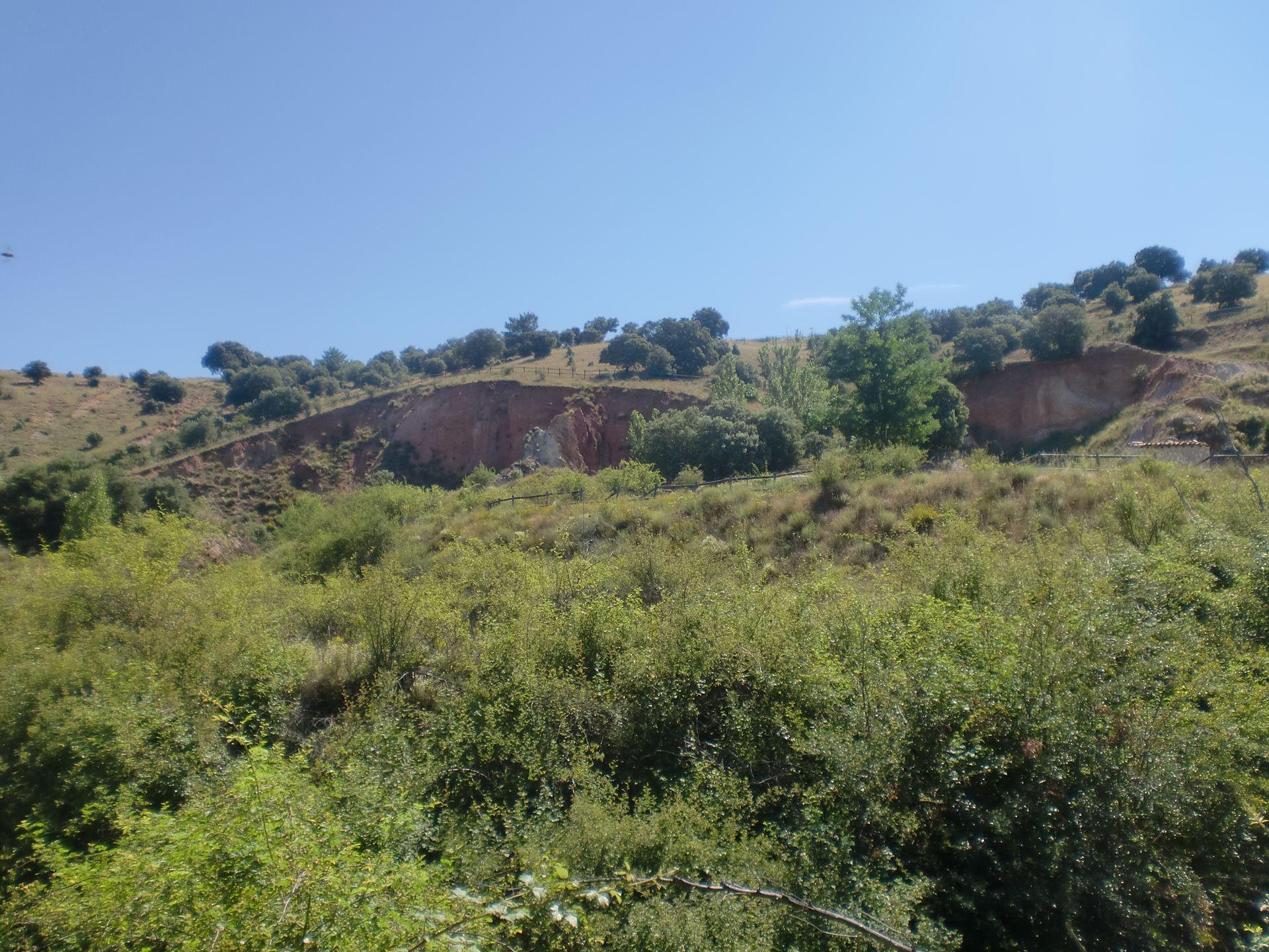 Sendero de Aguacae